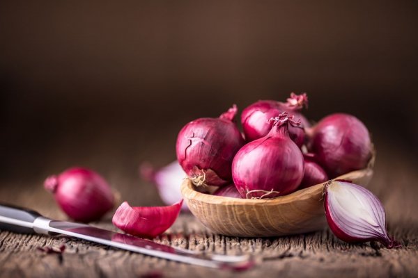 Рабочие ссылки тор bs onion info