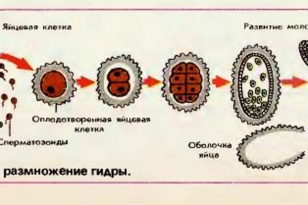 2web блэк спрут