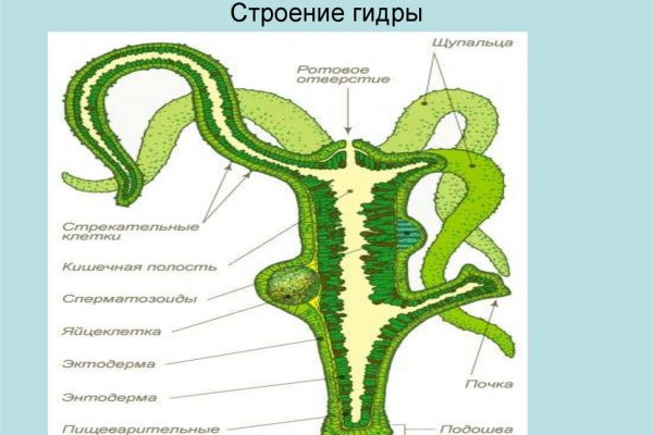 Блэк спрут площадка blacksprut pl