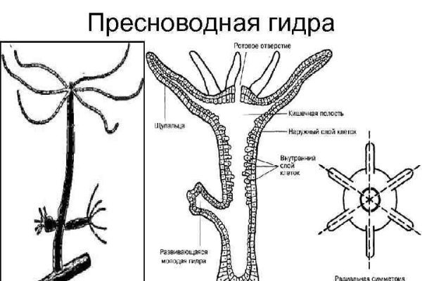 2fa код blacksprut что делать